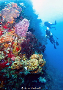 Generic reef scenic post tropical Storm Erica by Arun Madisetti 